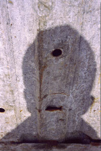 Luis pereira