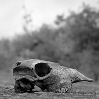 Fotógrafos Artísticos