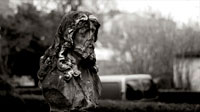 Fotógrafos Artísticos