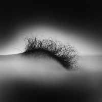 Ricardo Garrido