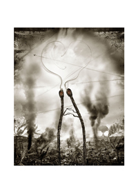 Oriol Jolonch
